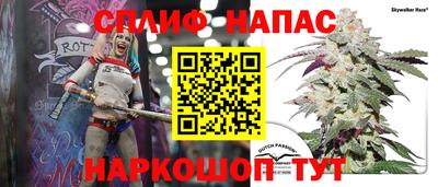 jwh Будённовск