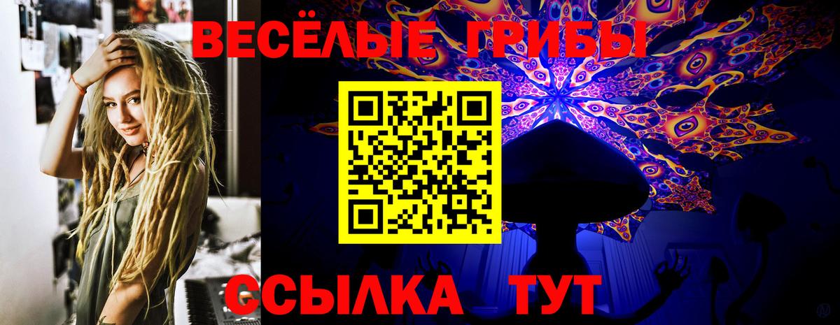 Псилоцибиновые грибы прущие грибы  наркотики  Сорочинск  Вход с VPN  Псилоцибиновые грибы MAGIC MUSHROOMS 