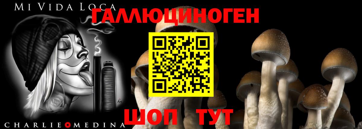 Галлюциногенные грибы мицелий Сорочинск